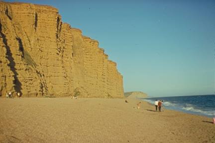 West Bay.jpg